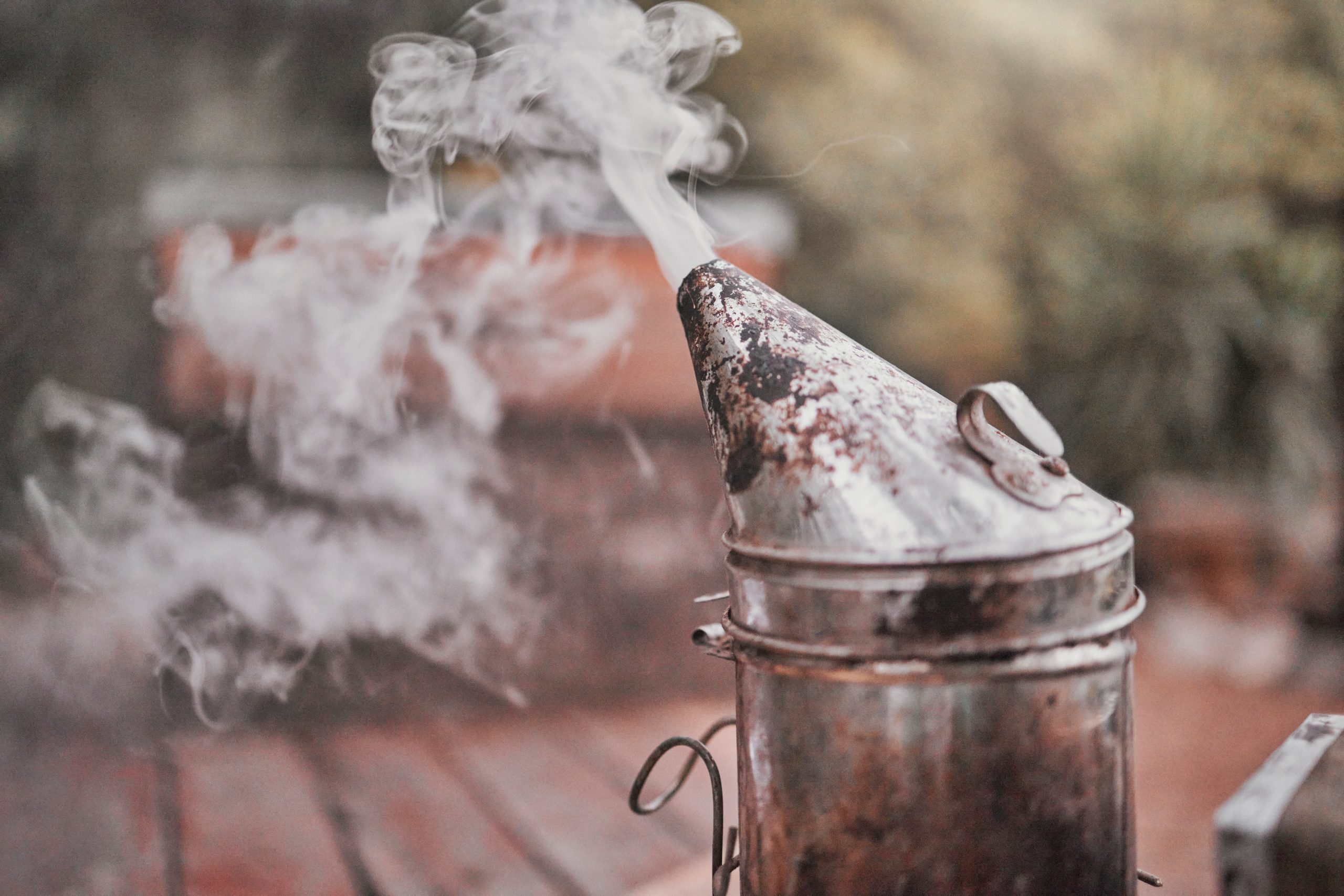 Signs Your Smoke Chamber Needs Cleaning